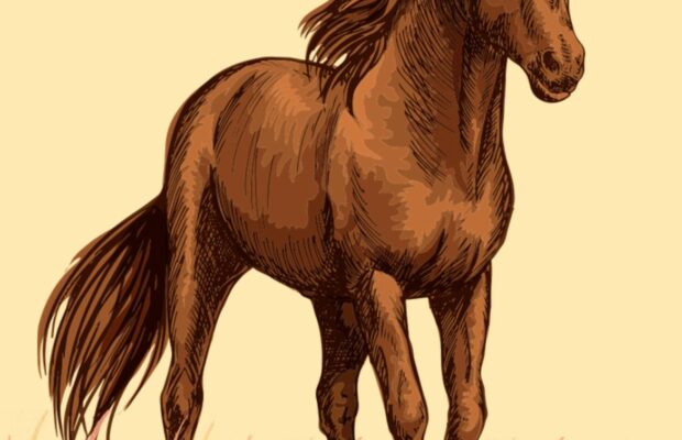 Horse Police Chase