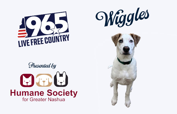 Wiggles