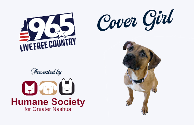 Cover Girl Cover Girl