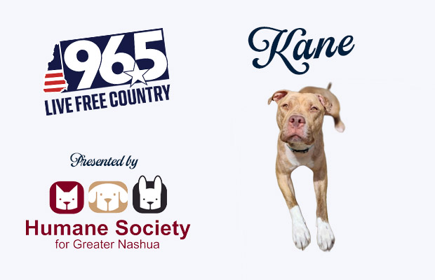 Kane