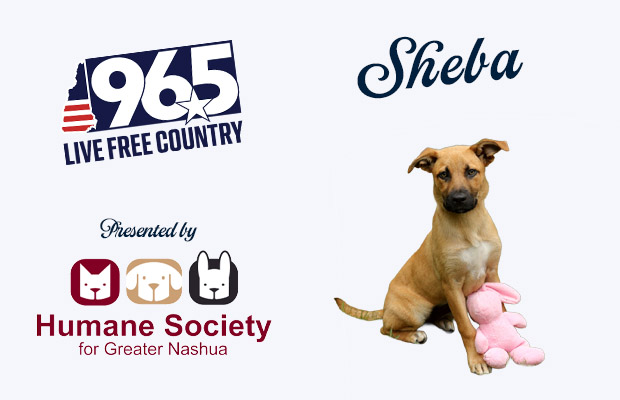 Sheba