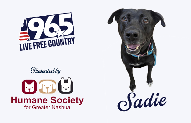 Sadie