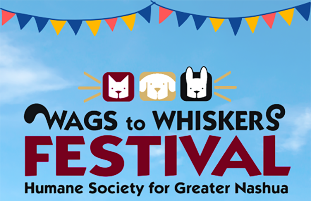 Wag to Whiskers