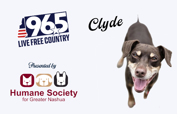 Clyde