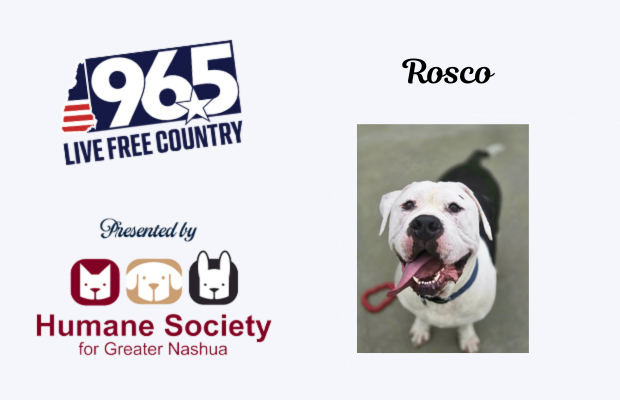 Rosco Rosco