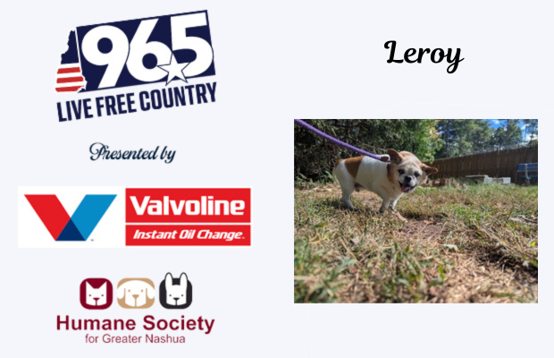 Leroy