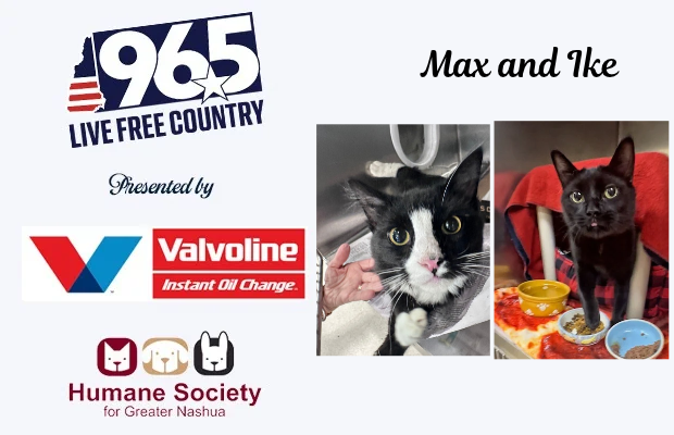 Max and Ike