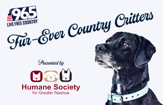 Fur-Ever Country Critters Fur-Ever Country Critters